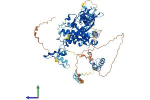 AlphaFold protein structure predicition of Human Recombinant MTA2 Protein, UniprotID O94776