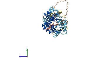 Protein Structure (PS) image for Solute Carrier Family 25, Member 46 (SLC25A46) (AA 1-418) protein (His tag) (ABIN7560571)
