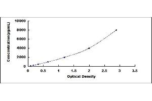 Typical standard curve (SERPINH1 ELISA 试剂盒)