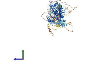 Protein Structure (PS) image for Myosin XIX (MYO19) (AA 1-963) protein (His tag) (ABIN7563842)