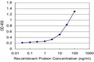 Detection limit for recombinant GST tagged IL12RB2 is approximately 1ng/ml as a capture antibody. (IL12RB2 抗体  (AA 105-214))