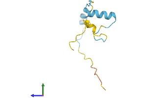Protein Structure (PS) image for Musculoskeletal, Embryonic Nuclear Protein 1 (MUSTN1) (AA 1-82) protein (Fc Tag) (ABIN7549497)