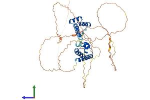 Protein Structure (PS) image for POU Class 2 Homeobox 3 (POU2F3) (AA 1-436) protein (His tag) (ABIN7550859)