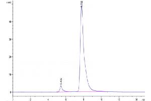 Size-exclusion chromatography-High Pressure Liquid Chromatography (SEC-HPLC) image for C-Type Lectin Domain Family 7, Member A (CLEC7A) (AA 66-201) protein (Fc Tag) (ABIN7274356)