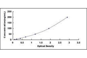 Typical standard curve (ARG ELISA 试剂盒)