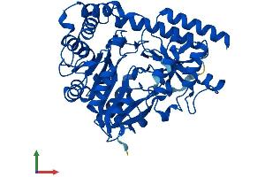 Protein Structure (PS) image for Cysteine-S-conjugate beta-Lyase (CCBL1) (AA 1-422) protein (His tag) (ABIN7548729)