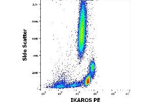 Flow cytometry intracellular staining pattern of human peripheral whole blood stained using anti-Ikaros (4E9) PE antibody (10 μL reagent / 100 μL of peripheral whole blood). (IKZF1 抗体  (C-Term) (PE))