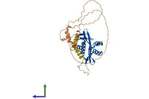 Protein Structure (PS) image for N(alpha)-Acetyltransferase 30, NatC Catalytic Subunit (NAA30) (AA 1-364) protein (His tag) (ABIN7559291)