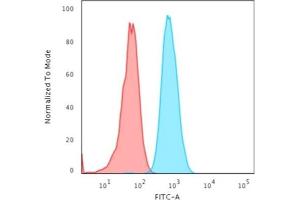 Flow Cytometric Analysis of HeLa cells using Cytokeratin 4 Mouse Monoclonal Antibody (KRT4/2804)followed by Goat anti-Mouse IgG-CF488 (Blue); Isotype Control (Red).