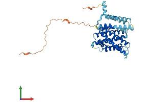 Protein Structure (PS) image for Solute Carrier Family 35, Member E4 (SLC35E4) (AA 1-350) protein (His tag) (ABIN7545899)