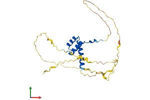 Protein Structure (PS) image for Distal-Less Homeobox 4 (DLX4) (AA 1-240) protein (His tag) (ABIN7556723)