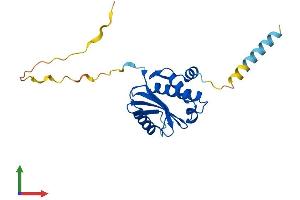 Protein Structure (PS) image for Coatomer Protein Complex, Subunit zeta 2 (COPZ2) (AA 1-210) protein (His tag) (ABIN7546758)