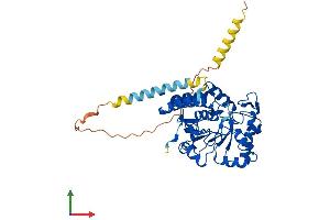 Protein Structure (PS) image for ST8 alpha-N-Acetyl-Neuraminide alpha-2,8-Sialyltransferase 6 (ST8SIA6) (AA 1-398) protein (His tag) (ABIN7546023)