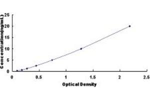 Typical standard curve (FOXA2 ELISA 试剂盒)