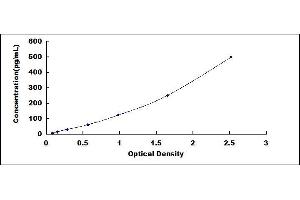 Typical standard curve (M-CSF/CSF1 ELISA 试剂盒)