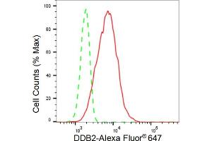 Flow cytometric analysis of DDB2 expression in HT- cells using DDB2 antibody (ABIN7798274), 1:2,000). (Recombinant DDB2 抗体)