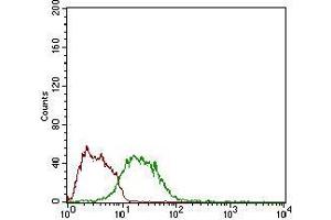 Flow Cytometry (FACS) image for anti-Myostatin (MSTN) (AA 24-266) antibody (ABIN2683000)