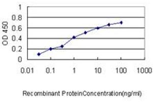Detection limit for recombinant GST tagged NUMA1 is approximately 0. (NUMA1 抗体  (AA 200-306))