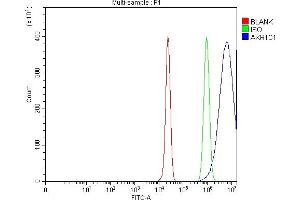 anti-Aldo-keto Reductase Family 1, Member C2 (AKR1C2) (AA 1-123) antibody