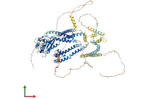 Protein Structure (PS) image for Polycystic Kidney Disease 2 (Autosomal Dominant) (PKD2) (AA 1-966) protein (His tag) (ABIN7562291)
