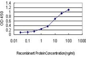 ELISA image for anti-Cell Division Cycle 25 Homolog C (S. Pombe) (CDC25C) (AA 21-130) antibody (ABIN598558) (CDC25C 抗体  (AA 21-130))