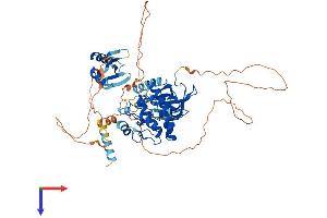 Protein Structure (PS) image for Mitogen-Activated Protein Kinase Kinase Kinase 2 (MAP3K2) (AA 1-619) protein (His tag) (ABIN7557661)