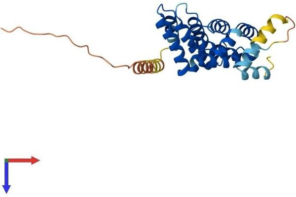 MRO Protein (AA 1-248) (His tag)