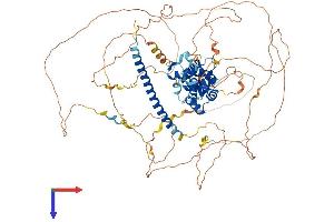 REPS1 Protein (AA 1-796) (His tag)