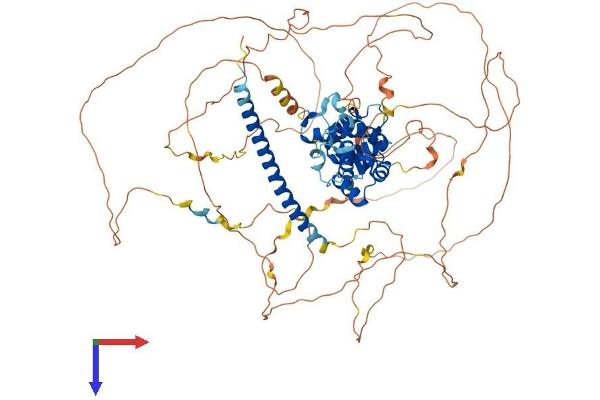 REPS1 Protein (AA 1-796) (His tag)