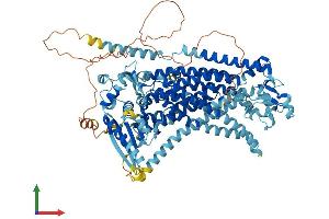 Protein Structure (PS) image for Anoctamin 7 (ANO7) (AA 1-933) protein (His tag) (ABIN7552282)