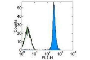 Image no. 1 for anti-CD45 (CD45.1 Allogen) antibody (FITC) (ABIN473707) (CD45.1 抗体  (FITC))