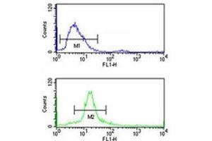 SSB antibody flow cytometry analysis of 293 cells (bottom histogram) compared to a negative control cell (top histogram). (SSB 抗体  (AA 66-96))