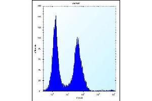 P4K2 Antibody (Center) (ABIN656275 and ABIN2845587) flow cytometric analysis of Jurkat cells (right histogram) compared to a negative control cell (left histogram). (MAP4K2 抗体  (AA 321-349))