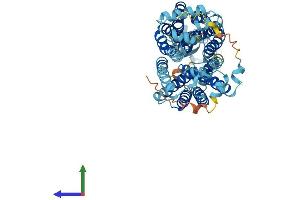 Protein Structure (PS) image for Organic Cation Transporter 3 (OCT3) (AA 1-556) protein (His tag) (ABIN7545875)