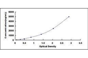 Casein beta (CSN2) ELISA Kit