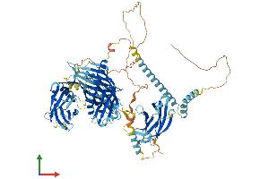 Protein Structure (PS) image for Extended Synaptotagmin 2 (ESYT2) (AA 1-845) protein (His tag) (ABIN7563688)