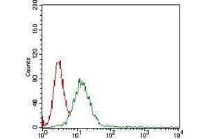 Flow cytometric analysis of A431 cells using B2M mouse mAb (green) and negative control (red). (beta-2 Microglobulin 抗体  (AA 21-100))