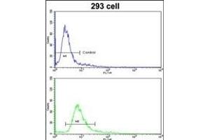 Flow cytometric analysis of 293 cells using HOXA5 Antibody (C-term )(bottom histogram) compared to a negative control cell (top histogram). (HOXA5 抗体  (C-Term))
