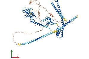 AlphaFold protein structure predicition of Mouse Recombinant Enox1 Protein, UniprotID Q8BHR2