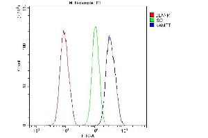 Flow Cytometry analysis of U20S cells using anti-Visfatin antibody (ABIN4886677).
