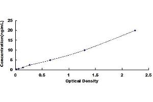 Typical standard curve (Claudin 5 ELISA 试剂盒)