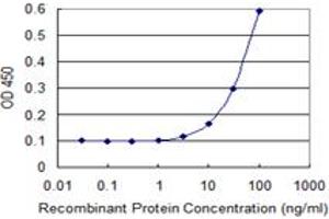 Detection limit for recombinant GST tagged ENAH is 3 ng/ml as a capture antibody. (ENAH 抗体  (AA 291-390))