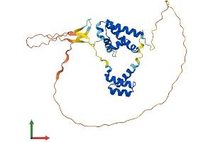 Protein Structure (PS) image for POU Class 6 Homeobox 1 (POU6F1) (AA 1-301) protein (His tag) (ABIN7556917)