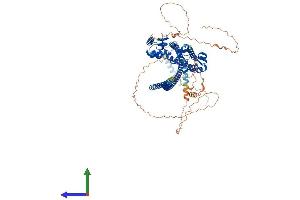 Protein Structure (PS) image for Kazrin (KAZ) (AA 1-775) protein (His tag) (ABIN7548623)
