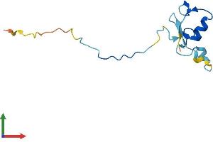 Protein Structure (PS) image for Ring-Box 1, E3 Ubiquitin Protein Ligase (RBX1) (AA 1-108) protein (His tag) (ABIN7555129)