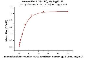 Immobilized Human PD-L1 (19-134), His Tag (ABIN6973193) at 1 μg/mL (100 μL/well) can bind Monoclonal A PD-L1 Antibody, Human IgG1 with a linear range of 0. (PD-L1 Protein (AA 19-134) (His tag))