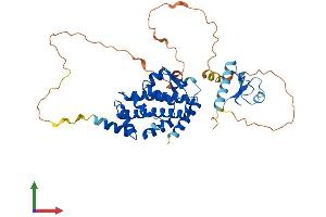 AlphaFold protein structure predicition of Human Recombinant SPATA2L Protein, UniprotID Q8IUW3