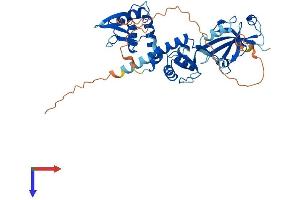 DEPTOR Protein (AA 1-409) (His tag)