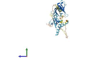 Protein Structure (PS) image for Src Kinase Associated phosphoprotein 1 (SKAP1) (AA 1-355) protein (His tag) (ABIN7557290)