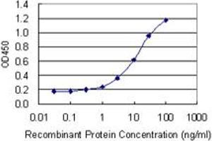 Detection limit for recombinant GST tagged EXOSC5 is 0. (EXOSC5 抗体  (AA 1-235))